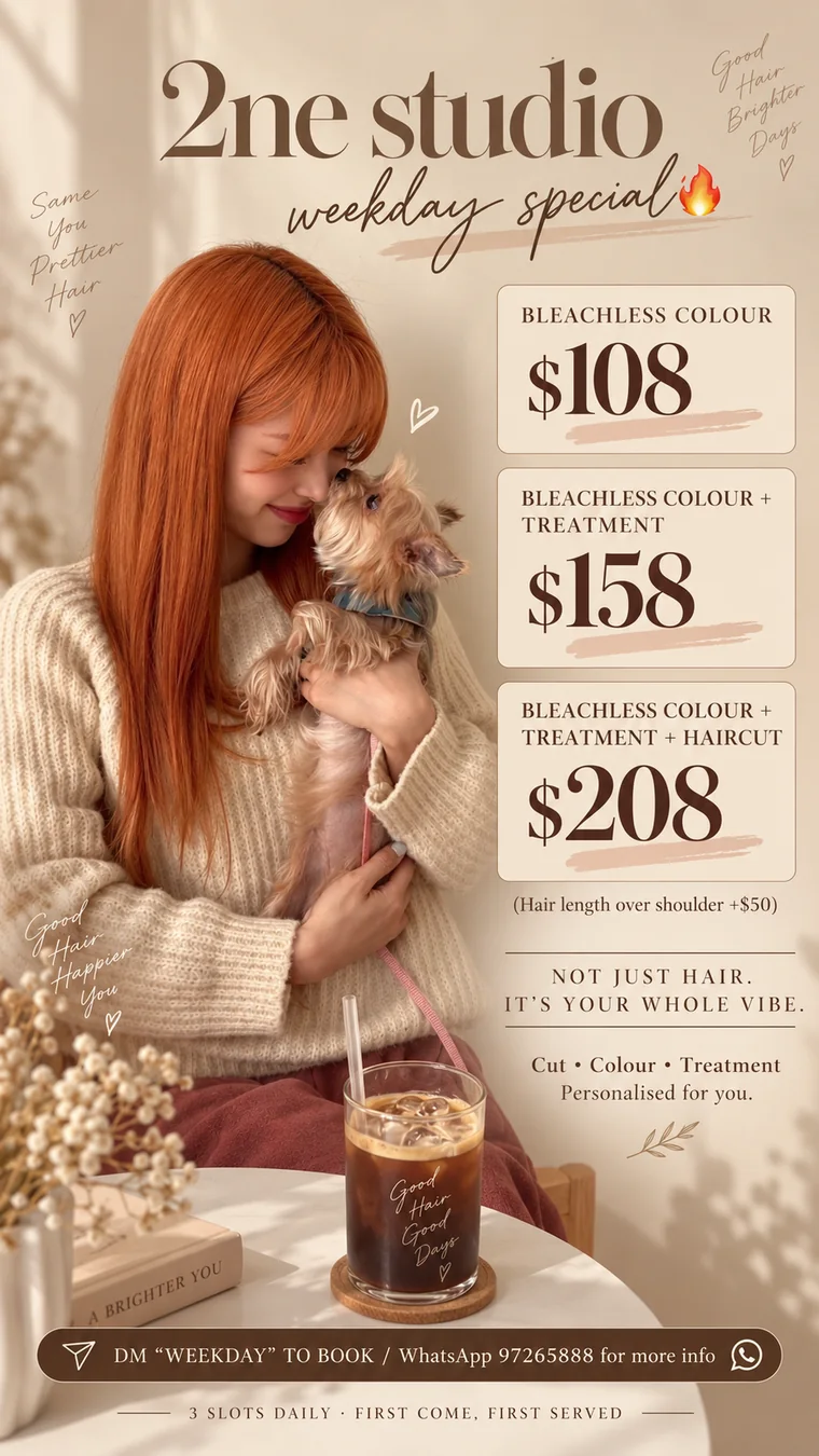 Bleachless Colour Edit promotion by 2NE Studio